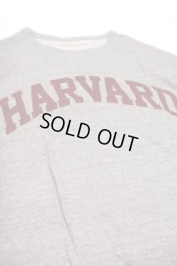 画像1: VOTE MAKE NEW CLOTHES BIG TEE 「HARVARD ARCH」