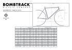 他の写真2: BOMBTRACK 「2015 DIVIDE」 700C完成車