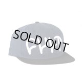 CULT CHASE HAWK SIGNATURE SNAPBACK