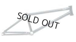 画像1: 【50％ OFF】 WETHEPEOPLE STERLING FRAME