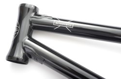 画像5: 【50% OFF】 WETHEPEOPLE STERLING FRAME