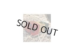 画像6: CULT MIND CONTROL V2 STEM