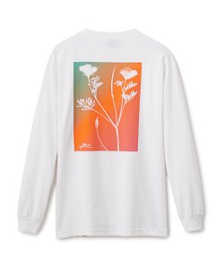 画像2: FTC POPPIES L/S TEE