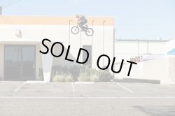 画像6: VANS Style 112 Pro [Dakota Roche]