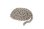 画像1: Eclat 「STROKE LIGHT CHAIN」 (1)