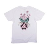 WELCOME SKATEBOARDS STORY BOOK S/S TEE