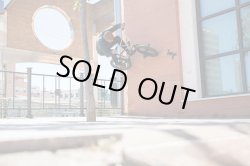 画像7: VANS Dakota Roche Signature Old Skool Pro