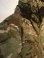 画像2: USMC HIGH LOFT LEVEL7 JACKET HAPPY SUIT By WILD THINGS (2)