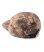 画像2: FTC RIPSTOP CAMP CAP (2)