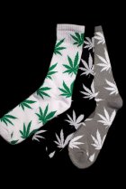 他の写真1: HUF SOCKS 「PLANT LIFE」