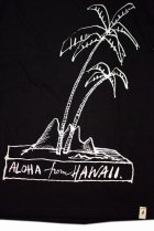 他の写真2: ALTAMONT S/S TEE 「ALOHA」