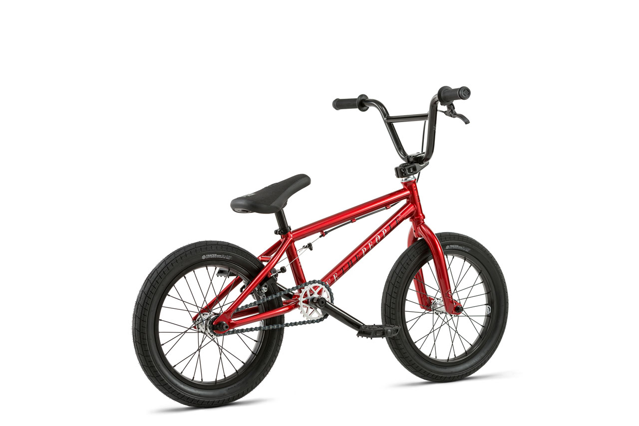 wethepeople 16
