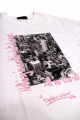 画像: SPLENDOUR S/S TEE 「All is vanity」