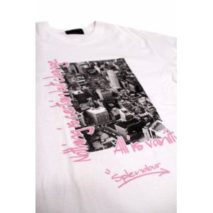 画像: SPLENDOUR S/S TEE 「All is vanity」