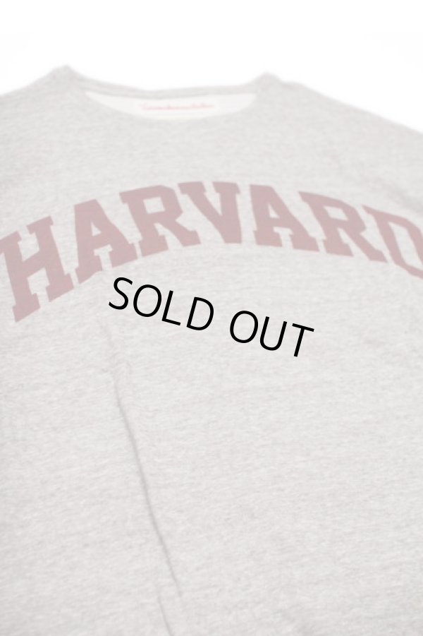 画像1: VOTE MAKE NEW CLOTHES BIG TEE 「HARVARD ARCH」