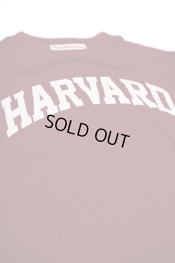 画像1: VOTE MAKE NEW CLOTHES BIG TEE 「HARVARD ARCH」