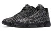 画像1: Jordan Horizon Premium PSNY