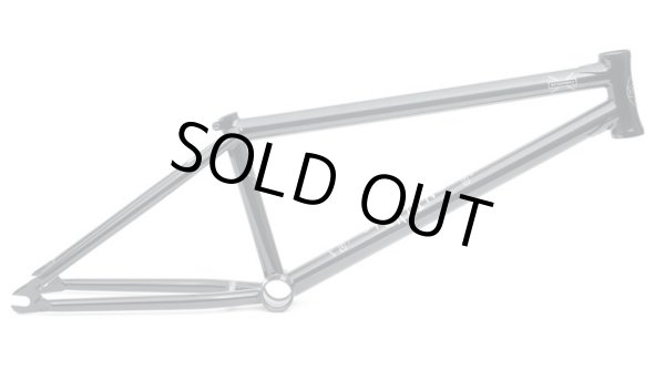 画像1: 【50％ OFF】 WETHEPEOPLE STERLING FRAME