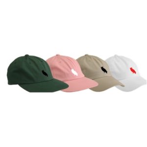 画像: WELCOME PARLIAMENT UNSTRUCTURED SLIDER CAP