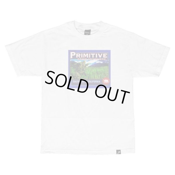 画像1: PRIMITEVE  TOP SHELF TEE