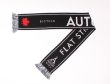 画像2: AUTUM SUPPORTER SCARF