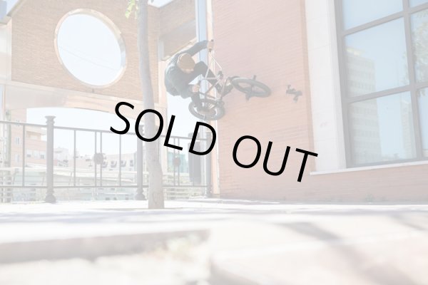 画像7: VANS Dakota Roche Signature Old Skool Pro