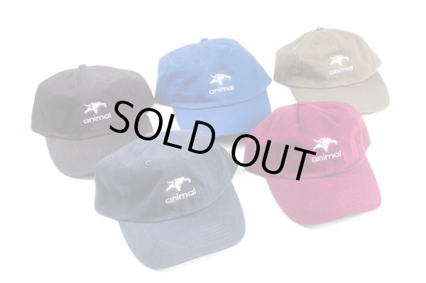 画像1: ANIMAL ICON HATS