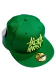 画像1: ALTAMONT NEW ERA CAP 「STACKED」