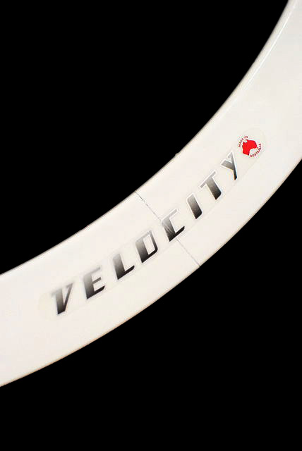 画像: Velocity B43 700c All Color ホイール 32H